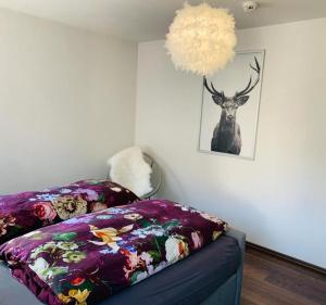 Ferienwohnung Homburger - Immenstaad am Bodensee