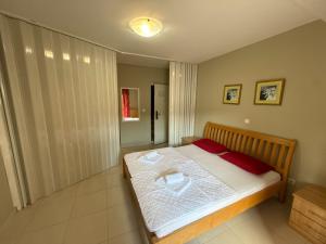 Adzic apartments 2