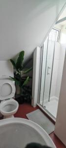Maindee Guest House