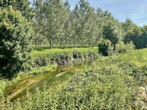 Domaine Alga, a bucolic cottage 10 minutes from Cognac
