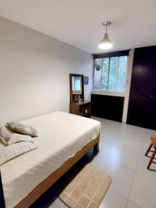 Hermoso departamento en Providencia