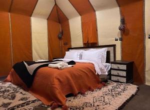Desert aurel Camp