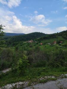 Domacinstvo Prentovic