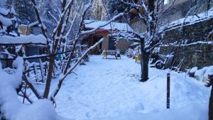 jibhi Orchard house