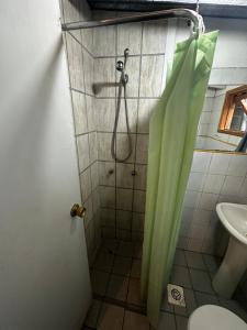 Hostal Palguin 261