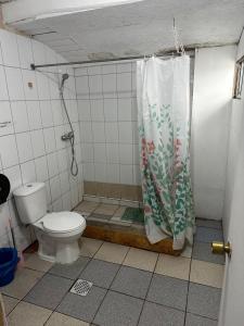 Hostal Palguin 261