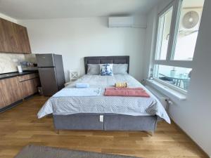 Blue Horizon Apartment