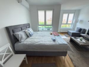 Blue Horizon Apartment