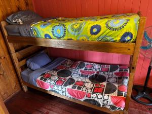 Hostal Palguin 261