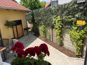 DANA GUEST HOUSE