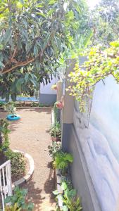 Sr Ndege Sweet Home