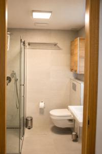 ENJOYHARRACHOV Atraktivní klidné studio 3 v centru Harrachova s parkováním, velkou terasou, Wifi-WLAN, SAT zdarma, možností dobíjení auta, výhledem do zahrady a na romantický kostelík jen 150m od lanovky