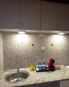 Apartment Angela Zemun 2