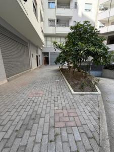Belleview Apartment 11