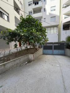 Belleview Apartment 11