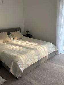 Izabelės apartamentai