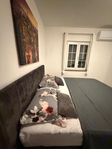 Apartments Biba