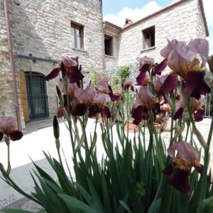 Il casale del Domo