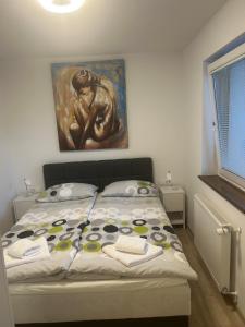 Apartment Aha