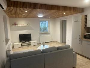 Apartment Aha