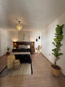 Suite Colonial Qalbi en el corazón de San Miguel