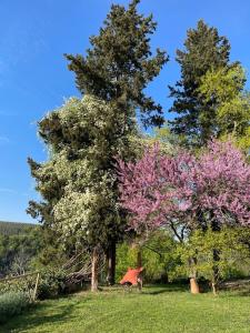 Agriturismo Le Casacce
