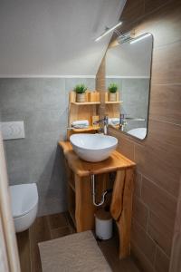 Apartma Biba