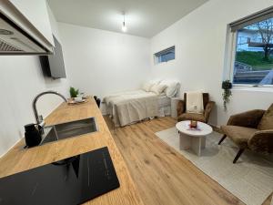 Modern Studio Apartment in central Kópavogur