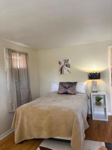 Robert Drive Professional Housing LLC