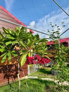 Tràm Chim Farmstay