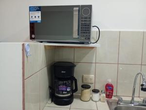 departamento Chihuahua Orquídea
