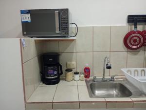 departamento Chihuahua Orquídea