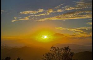 Ella Sunrise
