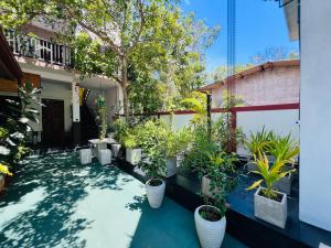 Ceylonima Home Stay