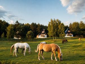 Wilczy Szept Domki Beskid Niski