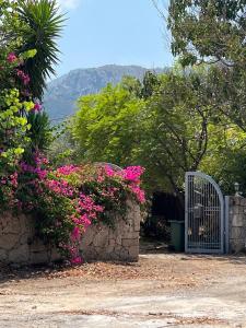 Charming boutique villa In Çatalköy