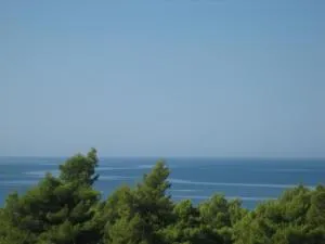 Seapine Studios - Lassi