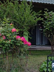 Guesthouse Eleftherios