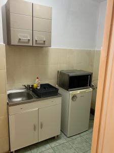 Take Ionescu 1 Room Apartament