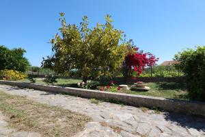 Asinara img14