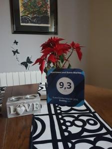 Apartment and Room Marlen