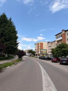 Dragasani Cozy Apartament