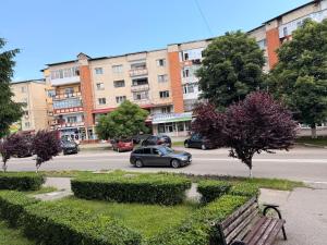 Dragasani Cozy Apartament