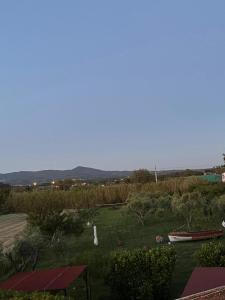 Casa vacanze Rosa Bianca a Vada