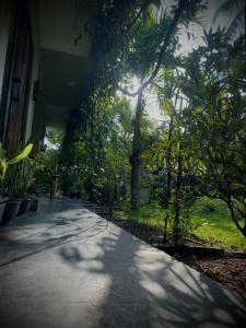 Mads Bird Villa Hikkaduwa