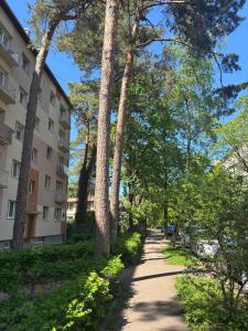 Jurmala Cozy Vibes - self check in