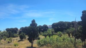 Casa vacacional Fuente León