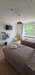 Modernes Apartment mit 2 Schlafzimmern