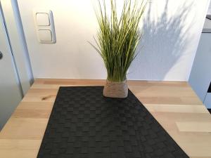 Apartment Flowerside