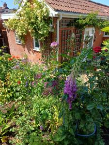 Santi Bhavana Bed & Breakfast